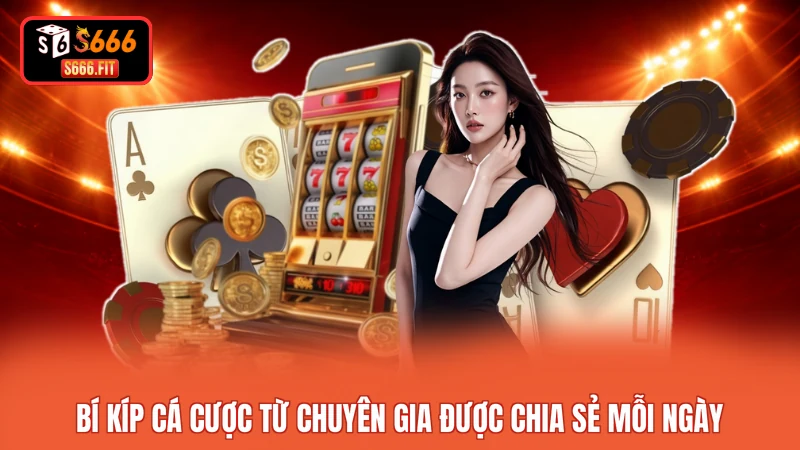 Bí kíp cá cược từ chuyên gia được chia sẻ mỗi ngày